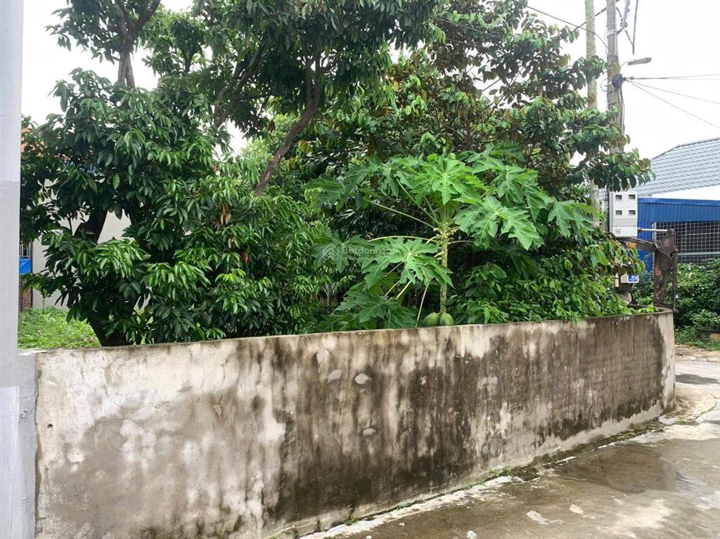 Bất động sản tại Hải Phòng - ảnh 1