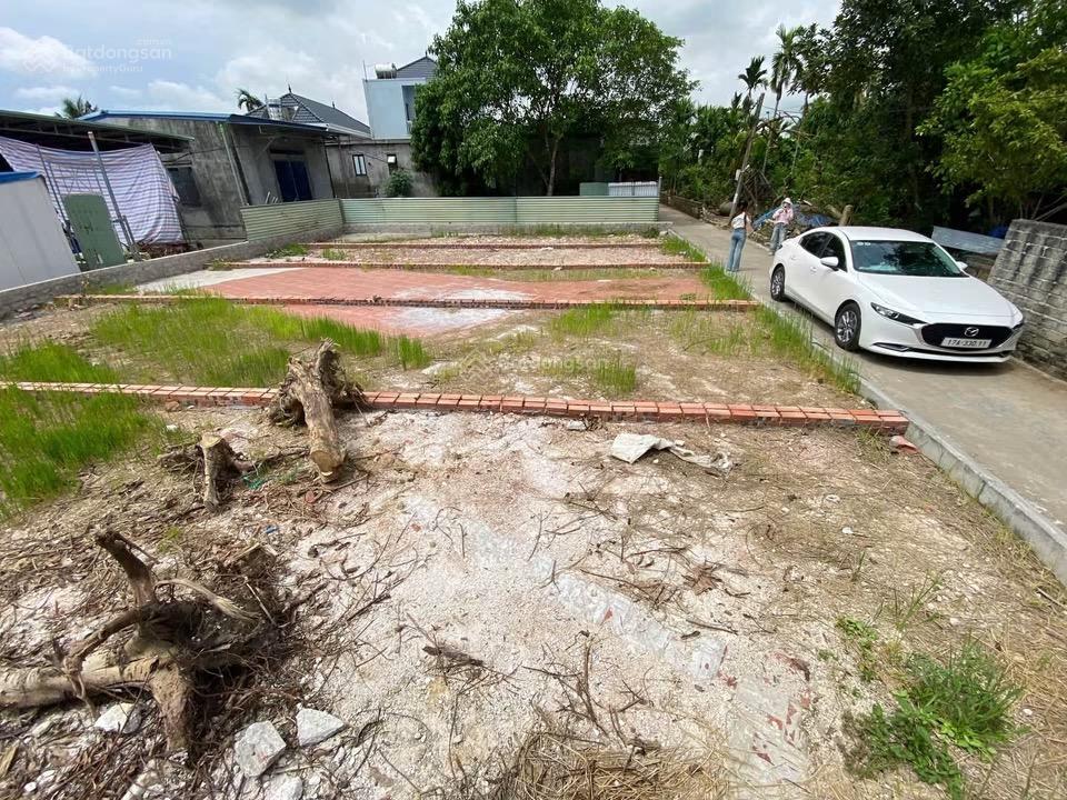 Bất động sản tại Hải Phòng - ảnh 1