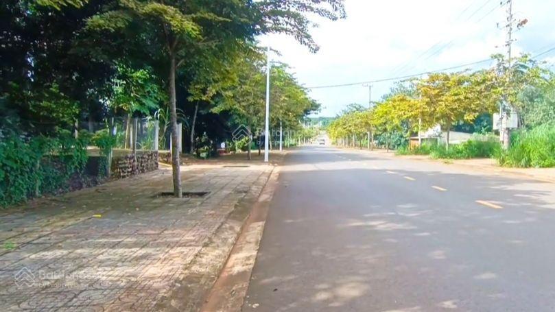 Bất động sản tại Bà Rịa - Vũng Tàu - ảnh 1