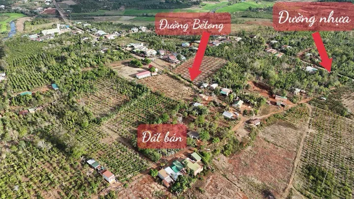 Bất động sản tại Đắk Lắk - ảnh 1