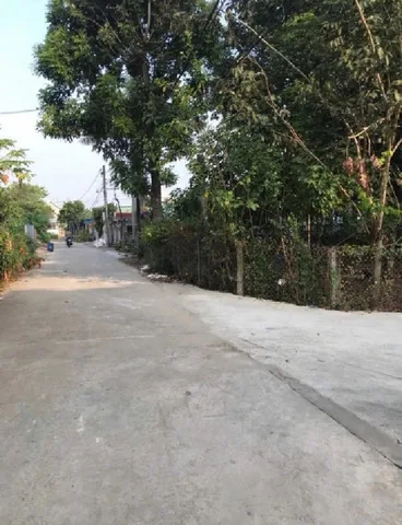 Bất động sản tại Bình Dương - ảnh 1