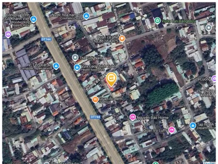 Bất động sản tại Bình Dương - ảnh 1