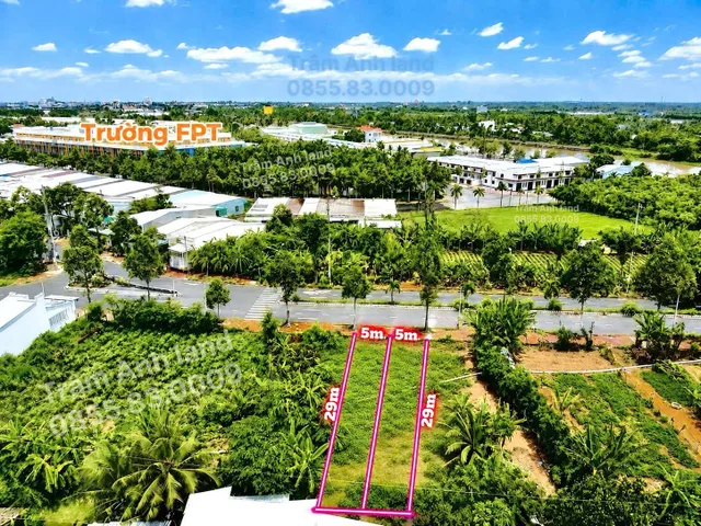 Bất động sản tại Cần Thơ - ảnh 1