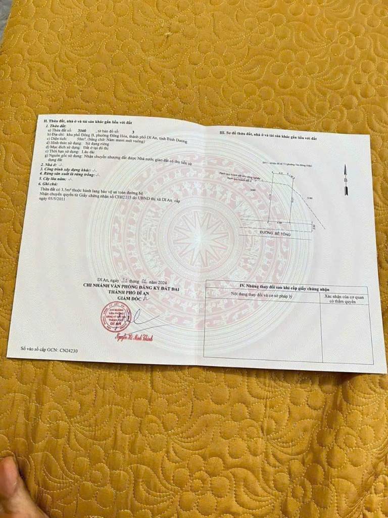 Bất động sản tại Bình Dương - ảnh 1