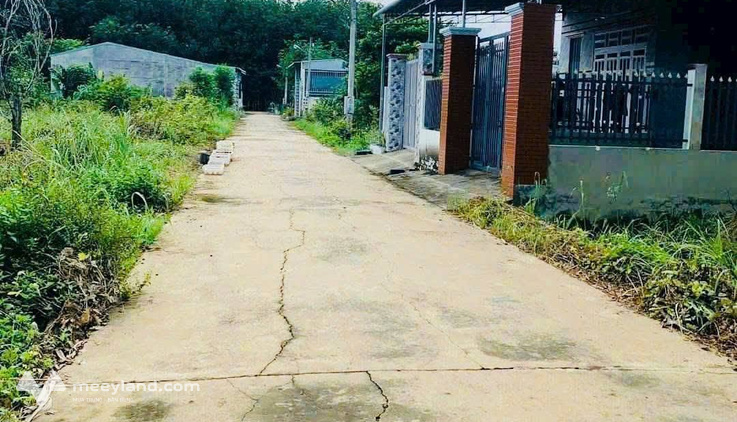 Bất động sản tại Bình Phước - ảnh 1
