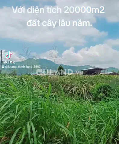 Bất động sản tại Lâm Đồng - ảnh 1