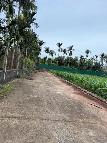 Bất động sản tại Đắk Lắk - ảnh 1