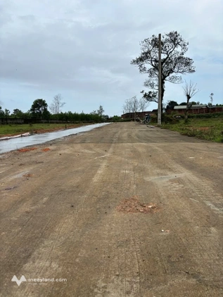 Bất động sản tại Thừa Thiên Huế - ảnh 1