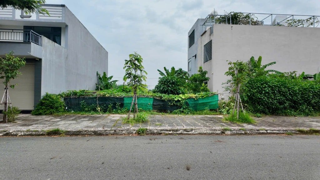 Bất động sản tại Bà Rịa - Vũng Tàu - ảnh 1