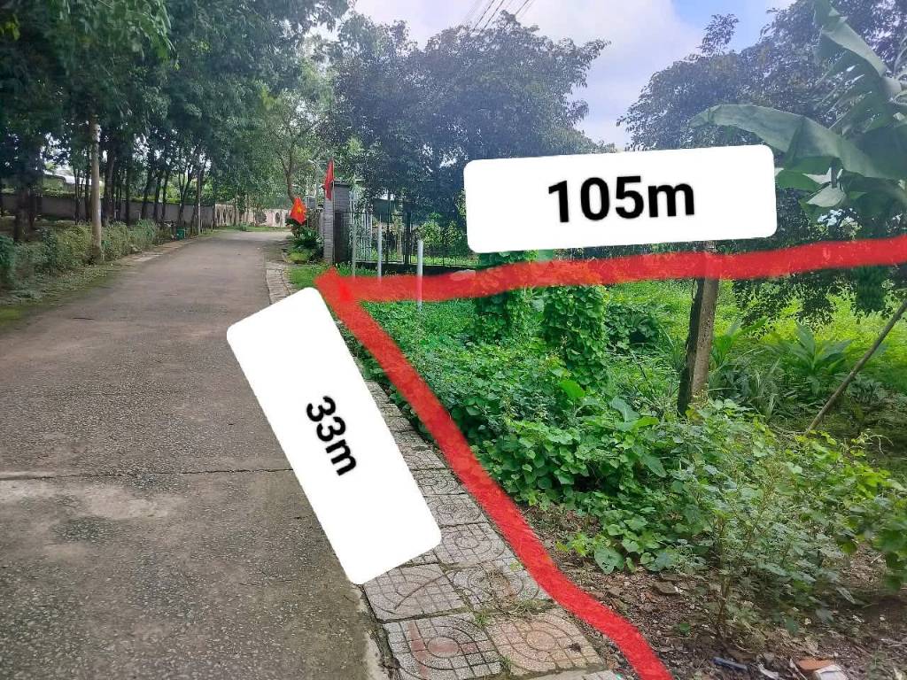 Bất động sản tại Bình Dương - ảnh 1