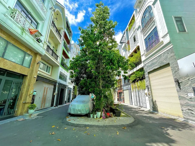 Bất động sản tại TP. Hồ Chí Minh - ảnh 1
