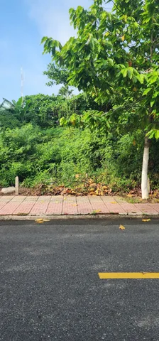 Bất động sản tại Tiền Giang - ảnh 1
