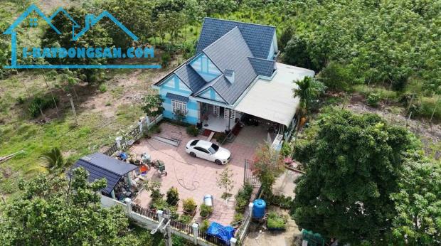 Bất động sản tại Bình Dương - ảnh 1