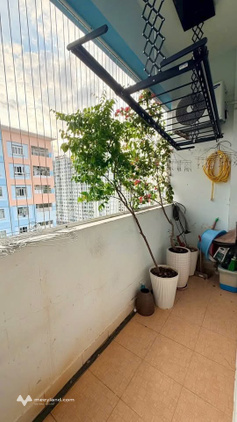 Bất động sản tại Bà Rịa - Vũng Tàu - ảnh 1
