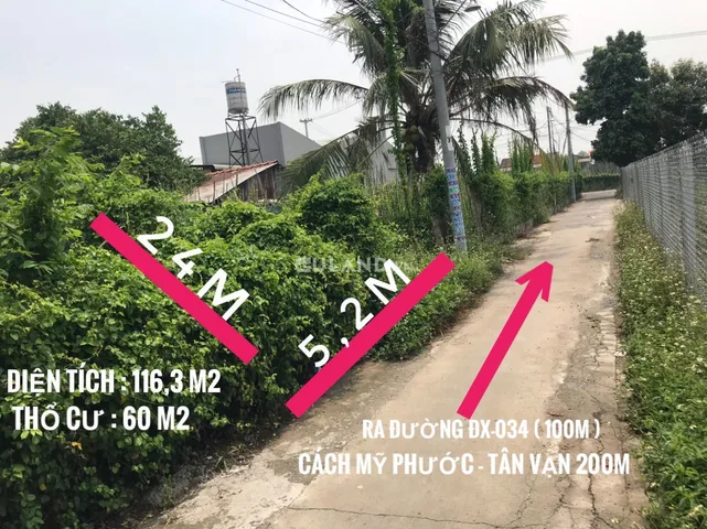 Bất động sản tại Bình Dương - ảnh 1