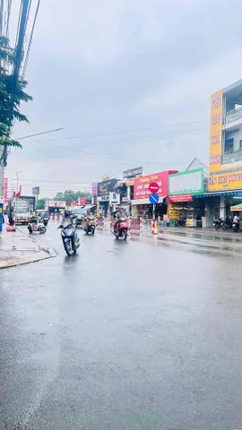 Bất động sản tại Bình Dương - ảnh 1