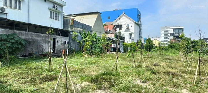 Bất động sản tại Bình Dương - ảnh 1