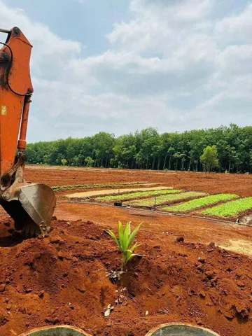 Bất động sản tại Đồng Nai - ảnh 1