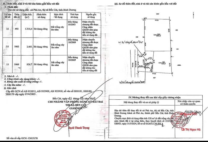 Bất động sản tại Bình Dương - ảnh 1