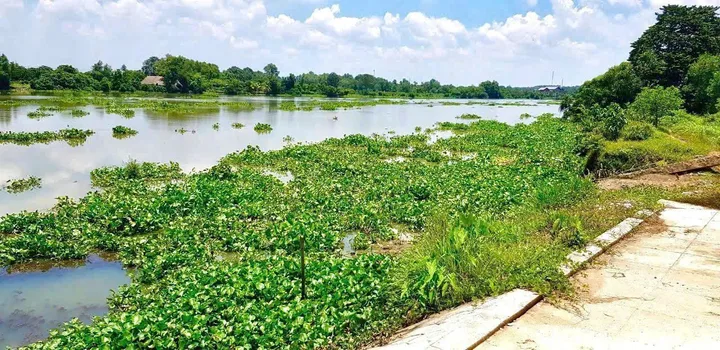 Bất động sản tại TP. Hồ Chí Minh - ảnh 1