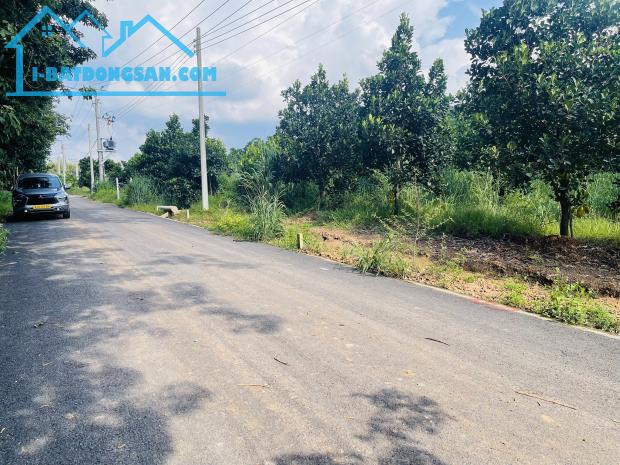 Bất động sản tại Bình Dương - ảnh 1