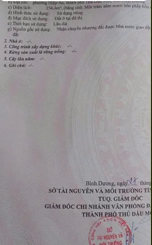 Bất động sản tại Bình Dương - ảnh 1
