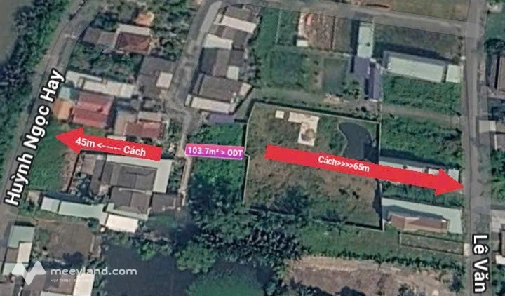 Bất động sản tại Long An - ảnh 1