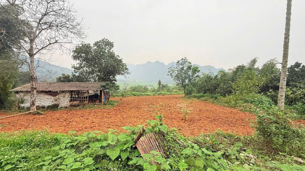 Bất động sản tại Hòa Bình - ảnh 1