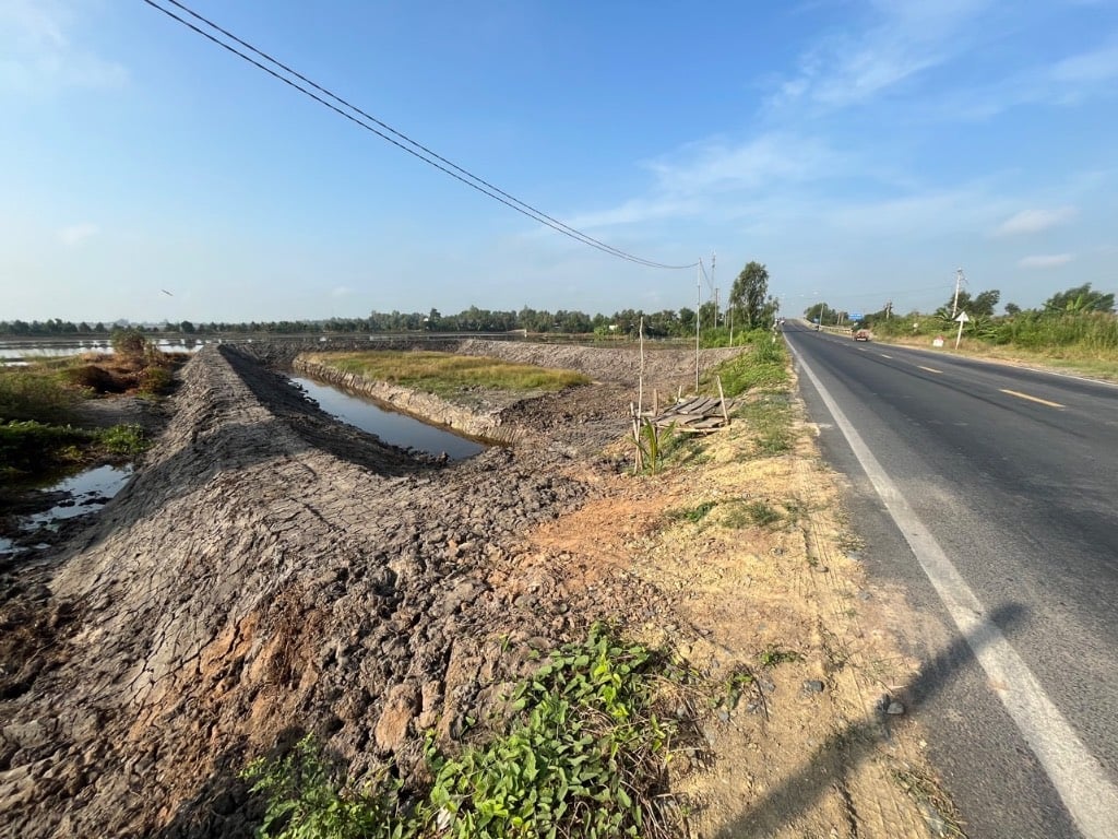 Bất động sản tại Long An - ảnh 1