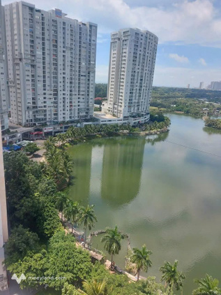 Bất động sản tại Bà Rịa - Vũng Tàu - ảnh 1