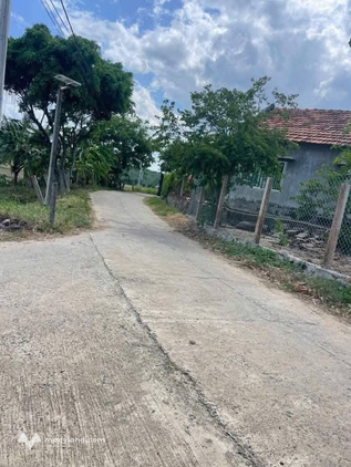 Bất động sản tại Phú Yên - ảnh 1