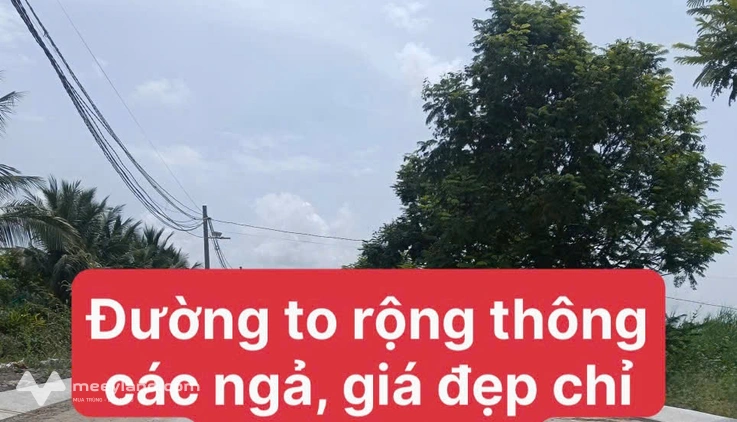Bất động sản tại Long An - ảnh 1