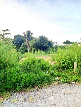 Bất động sản tại Trà Vinh - ảnh 1