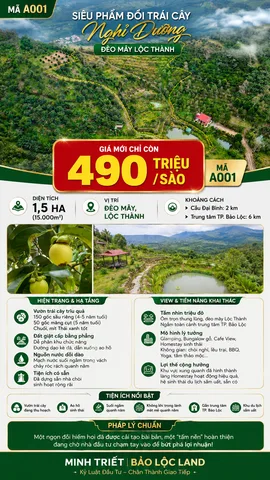 Bất động sản tại Lâm Đồng - ảnh 1