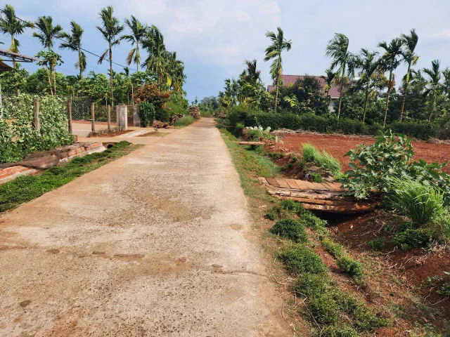 Bất động sản tại Đắk Lắk - ảnh 1