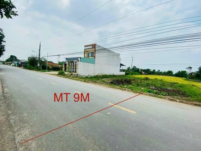 Bất động sản tại Long An - ảnh 1