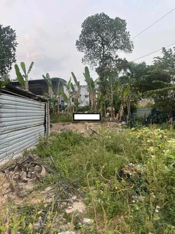 Bất động sản tại Đà Nẵng - ảnh 1