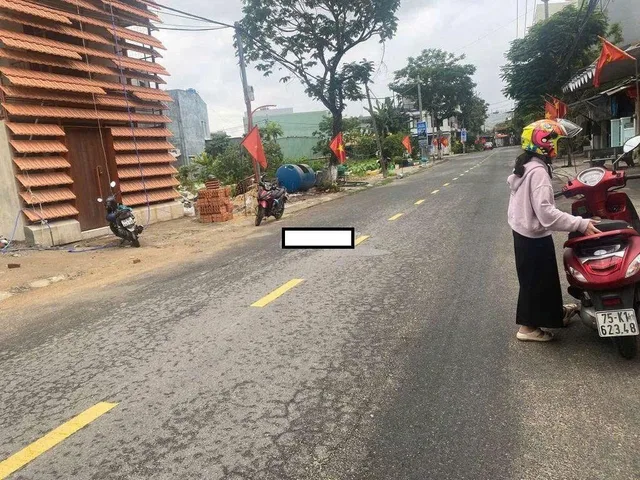 Bất động sản tại Đà Nẵng - ảnh 1