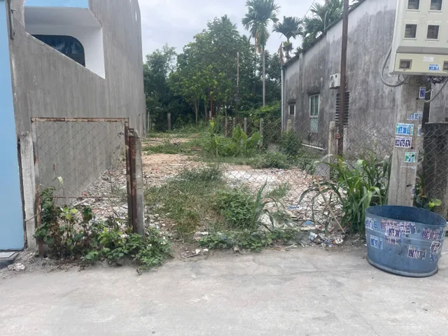 Bất động sản tại Bình Dương - ảnh 1