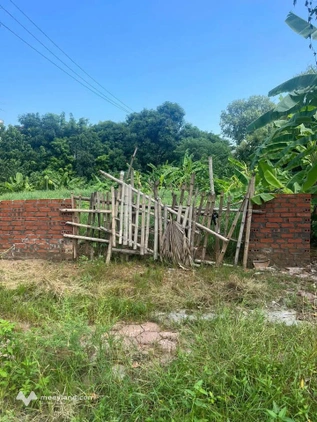 Bất động sản tại Phú Thọ - ảnh 1