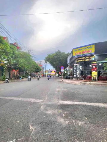 Bất động sản tại Bình Dương - ảnh 1