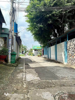 Bất động sản tại Bình Dương - ảnh 1
