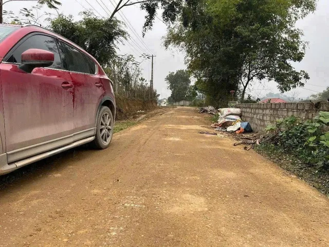 Bất động sản tại Phú Thọ - ảnh 1