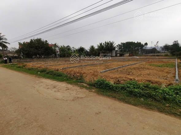 Bất động sản tại Hưng Yên - ảnh 1