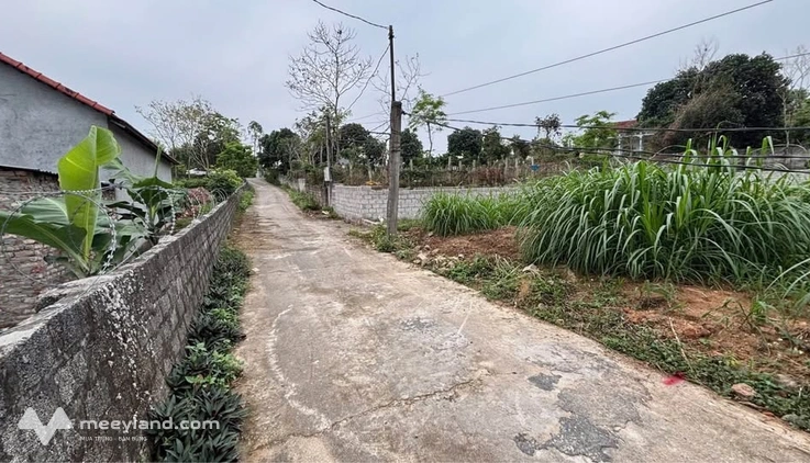 Bất động sản tại Vĩnh Phúc - ảnh 1