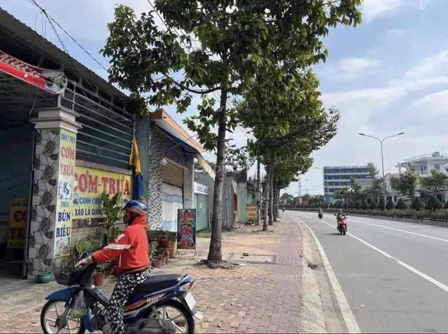 Bất động sản tại Bình Dương - ảnh 1