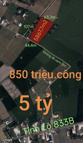 Bất động sản tại Long An - ảnh 1