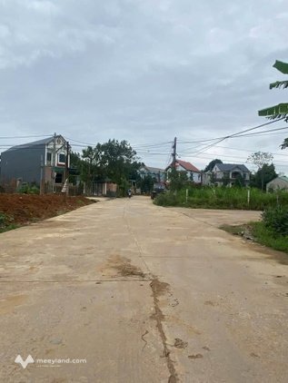 Bất động sản tại Phú Thọ - ảnh 1