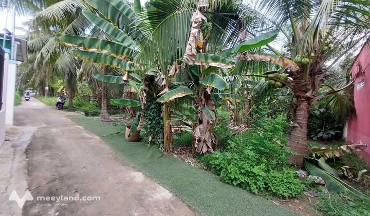 Bất động sản tại Bến Tre - ảnh 1