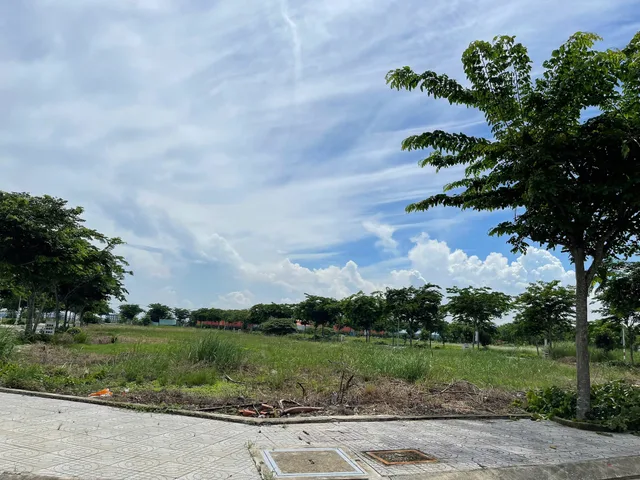 Bất động sản tại Long An - ảnh 1